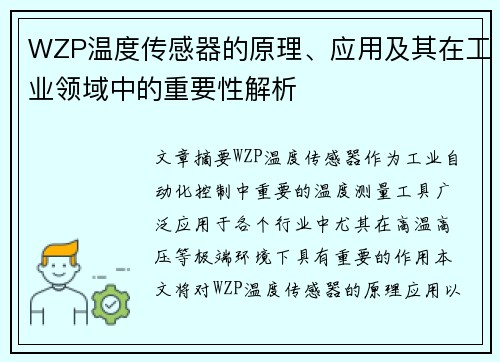 WZP温度传感器的原理、应用及其在工业领域中的重要性解析